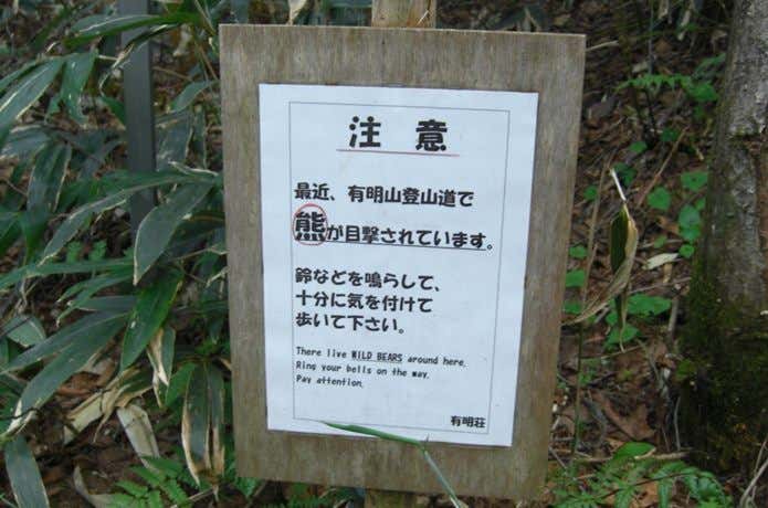 有明山の熊目撃情報