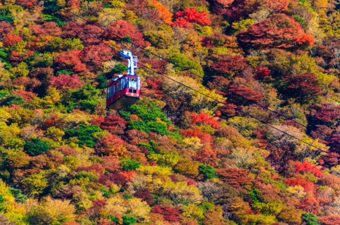 紅葉する雲仙岳