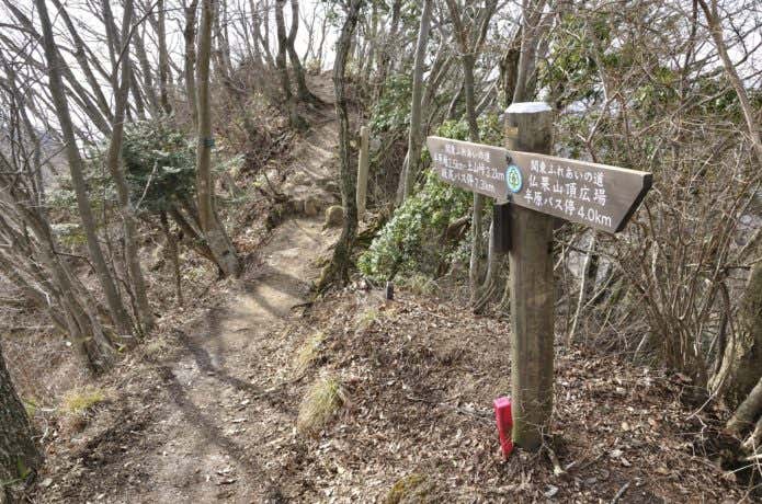 仏果山の頂上 関東ふれあいの道