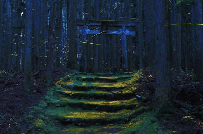 怖い神社