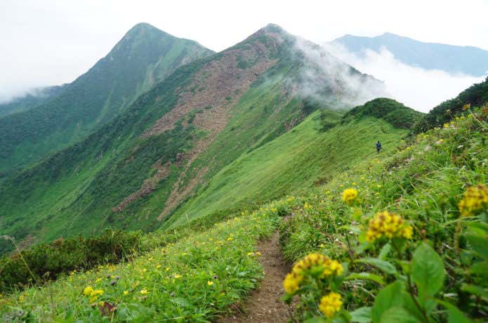 戸蔦別岳への稜線