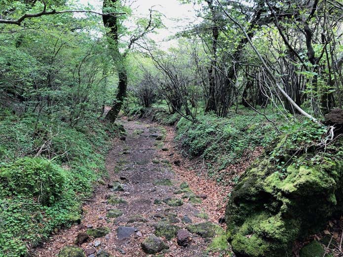 雲仙岳の登山道