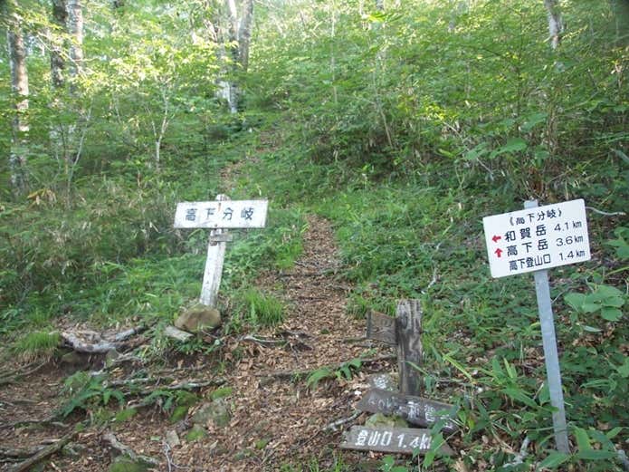 赤沢分岐