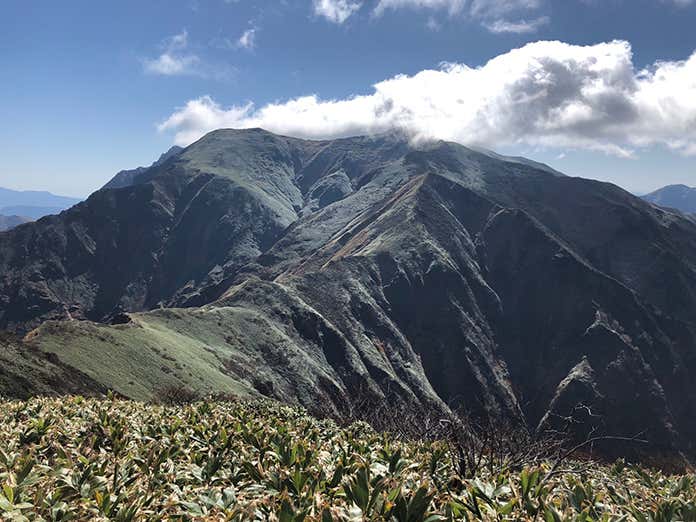 ヤマレコ Hanatareoyaji 茂倉岳への登山道