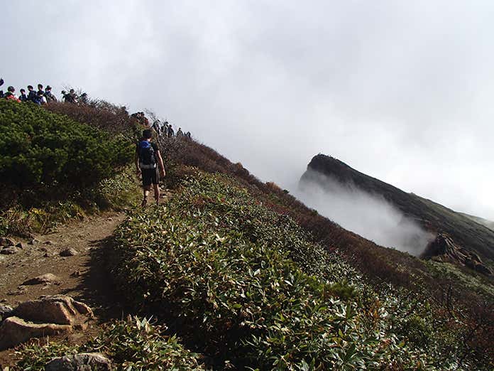 ヤマレコ yamabo トマノ耳への登山道