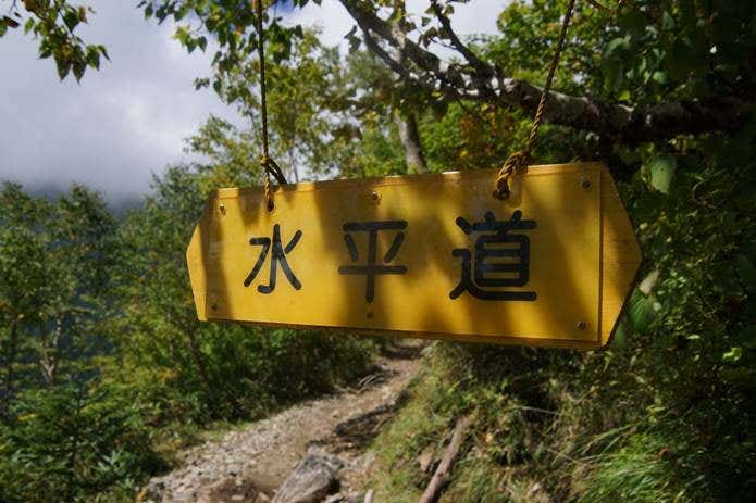 水平道