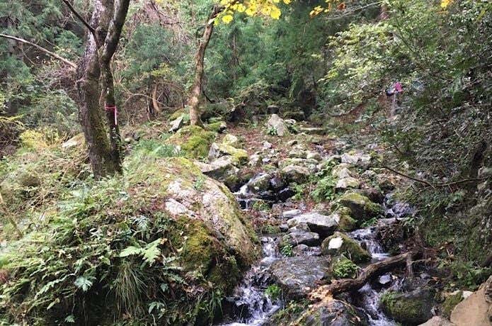 川沿いの登山道