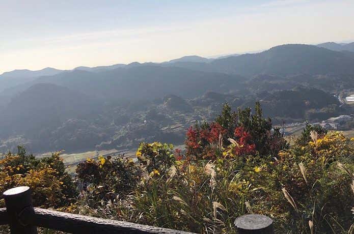 展望台からの眺望