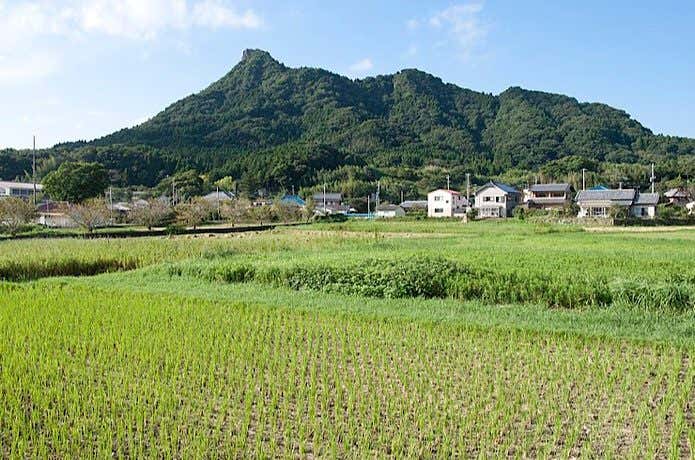 伊予ヶ岳を見上げる