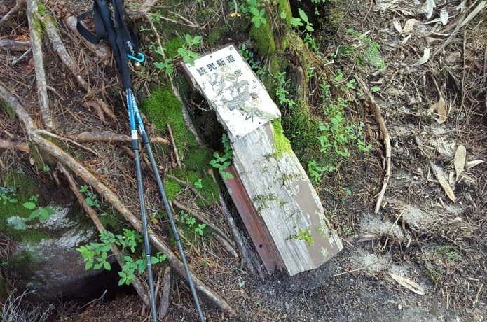 読売新道の看板