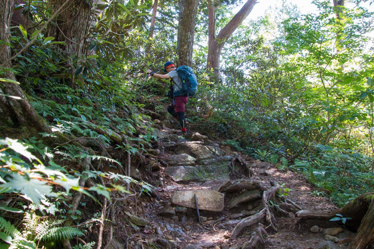 急坂の登山道