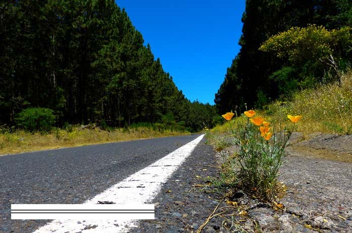 道路