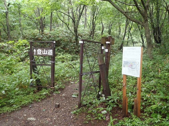 泉ヶ岳　登山