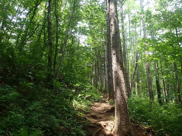 泉ヶ岳　登山