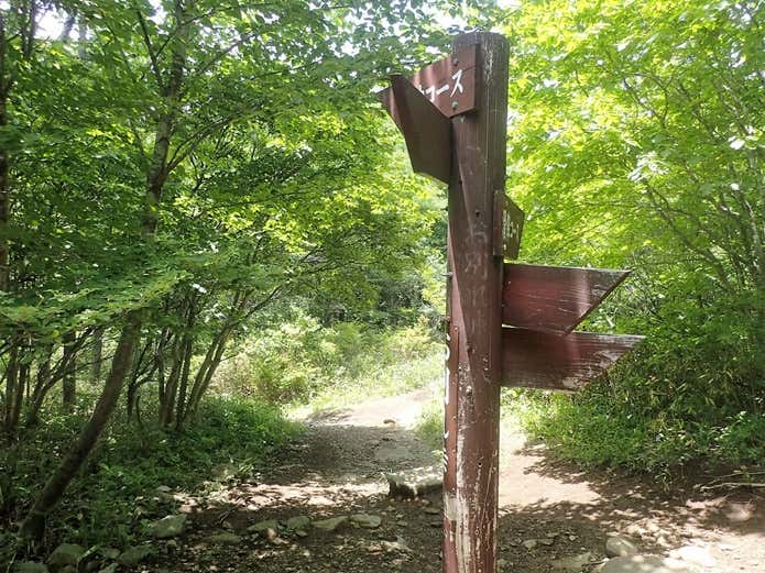 泉ヶ岳　登山