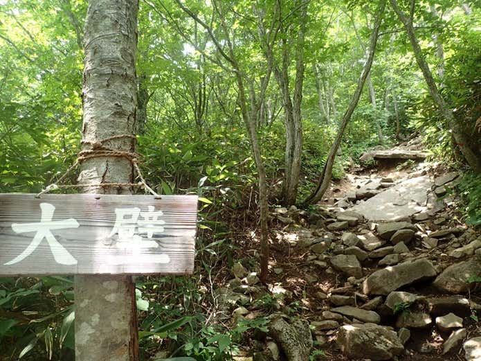 泉ヶ岳　登山