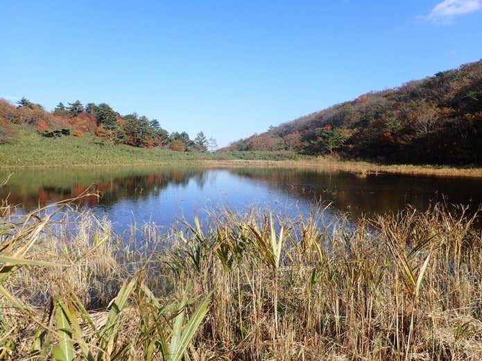 泉ヶ岳　登山