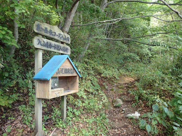 泉ヶ岳　登山口