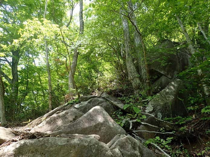 泉ヶ岳　登山