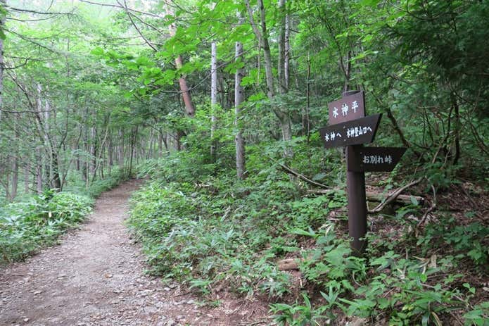泉ヶ岳　登山
