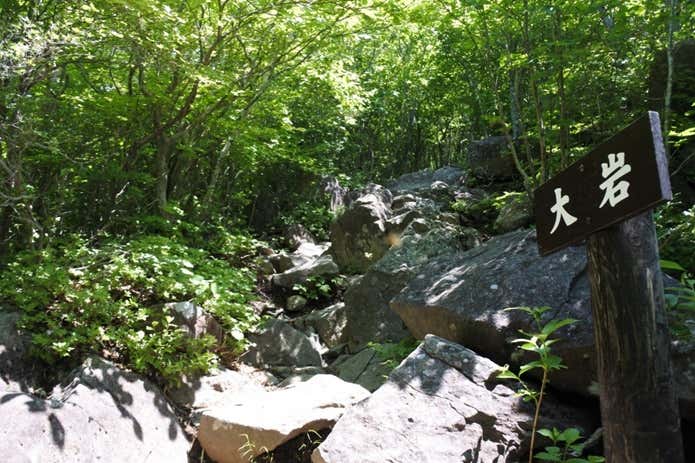 泉ヶ岳　登山