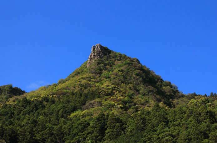 伊予ヶ岳南峰を見上げる