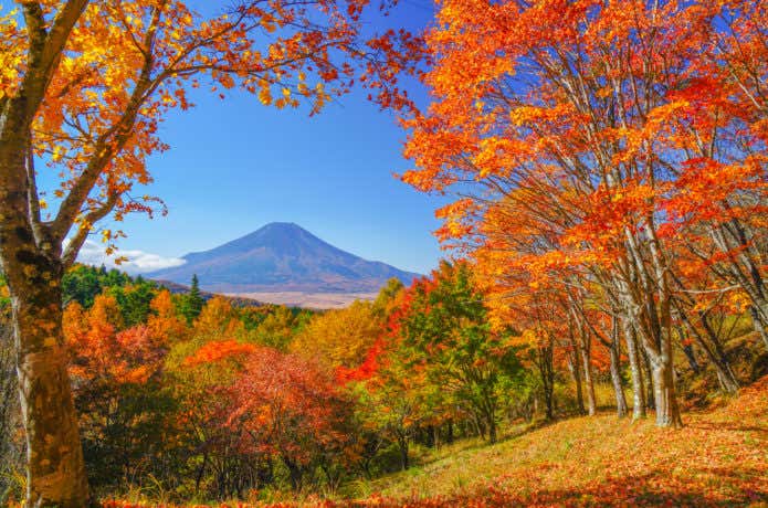 紅葉期の杓子山