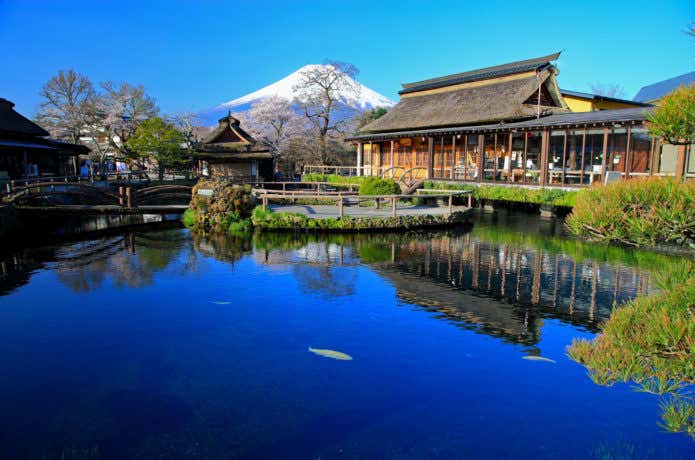 忍野八海の中池