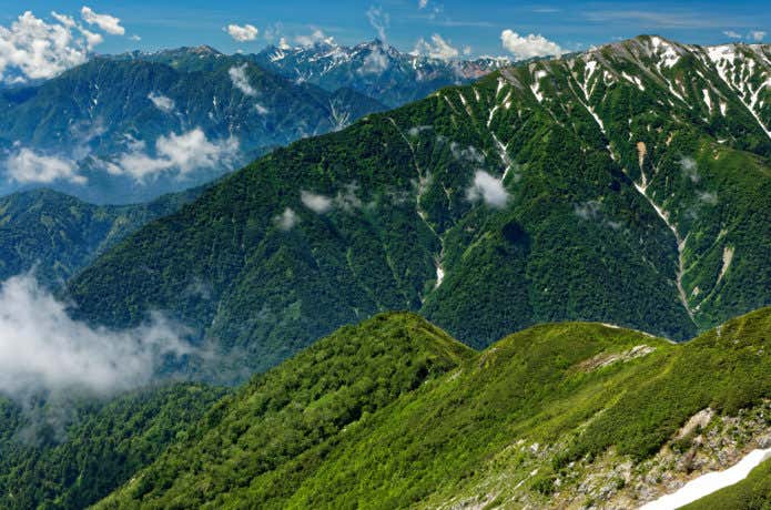 夏の蓮華岳