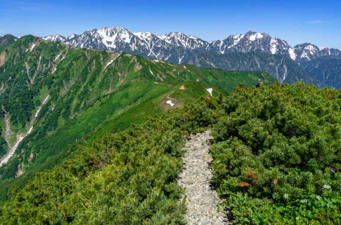 爺ヶ岳の登山道