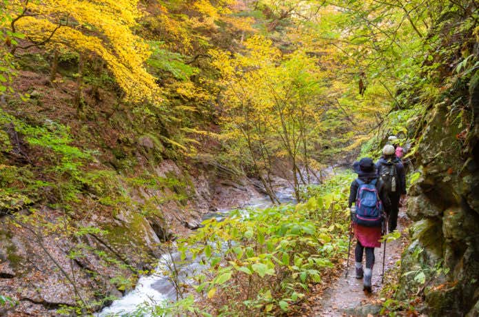登山道