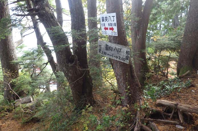 樹林帯