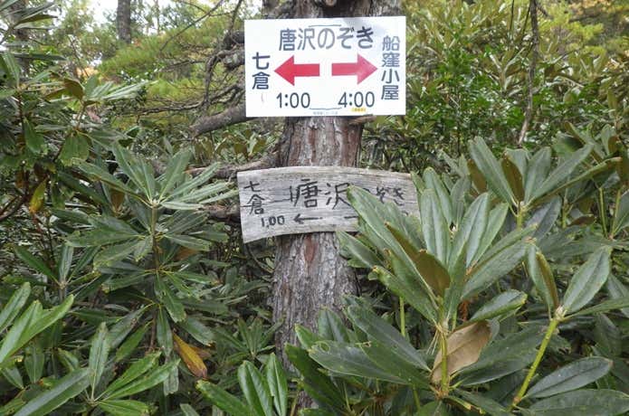 唐沢のぞき