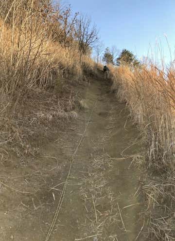 急登が続く