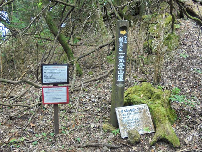 一気登山道