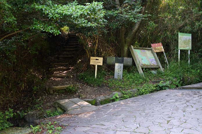 万葉の森