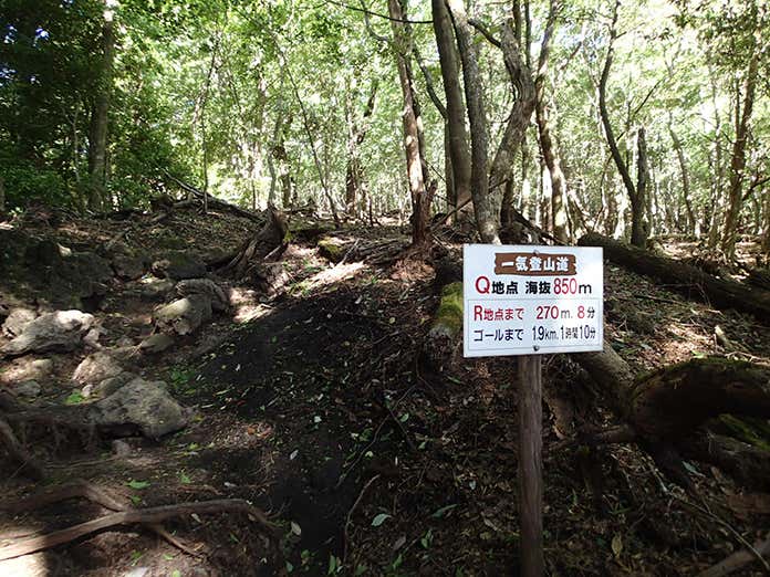 登山道の看板