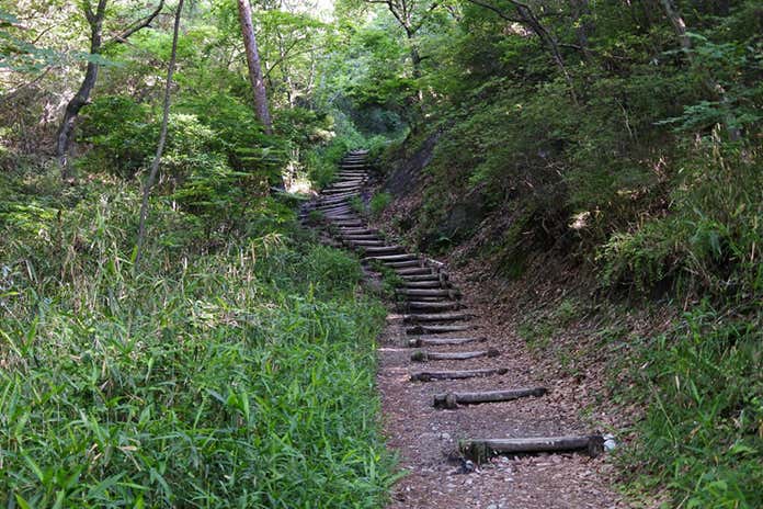 整備された登山道