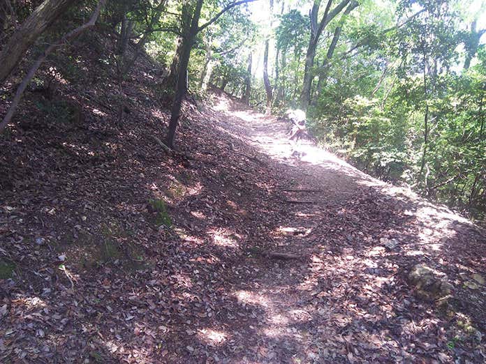 二上山の登山道