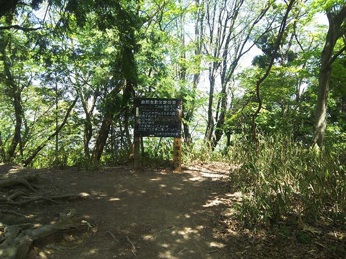 二上山の山頂