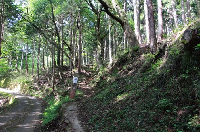登山口