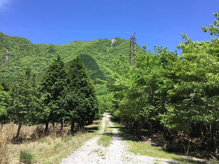 真っ直ぐ続く登山道