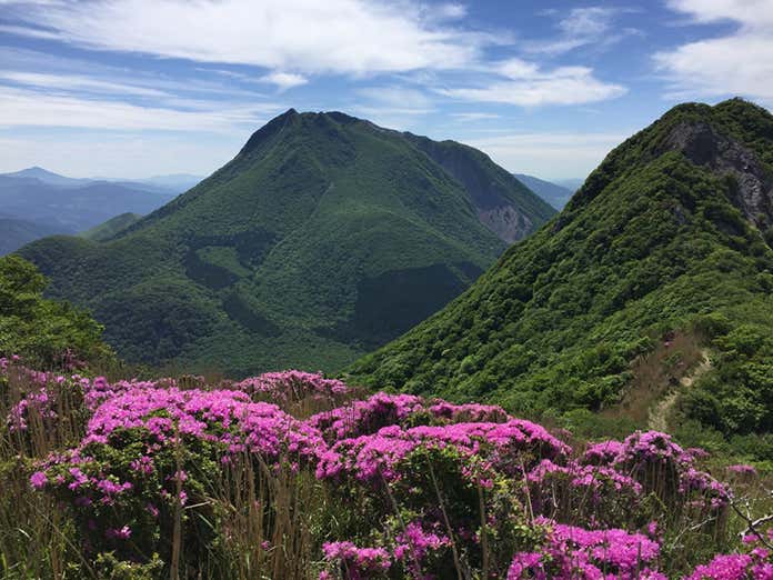 ミヤマキリシマと山景色