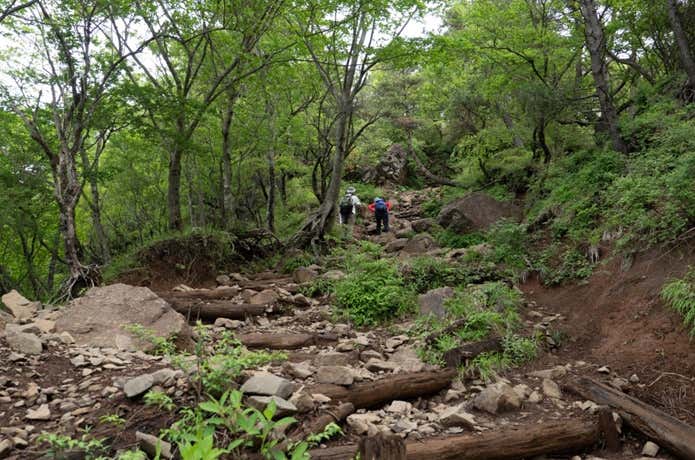 丹沢登山道