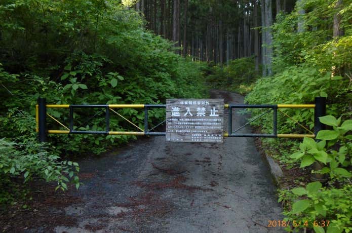 青根