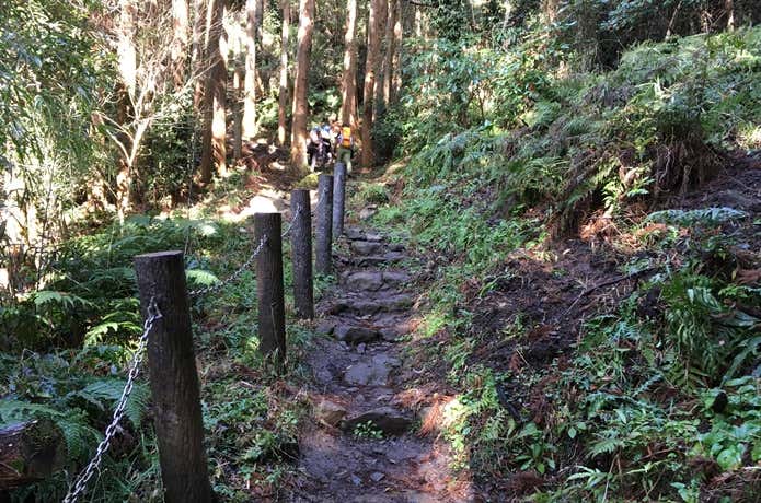 樹林帯の登山口