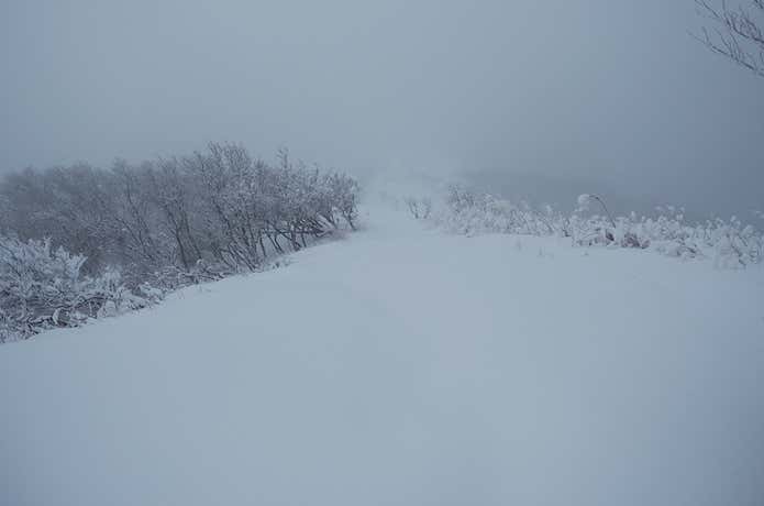 雪原