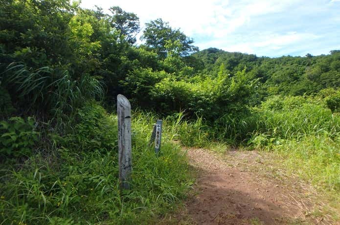 桜曽根登山口