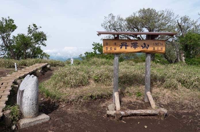 丹沢山頂