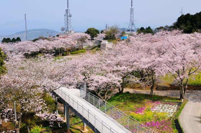 中尾山公園